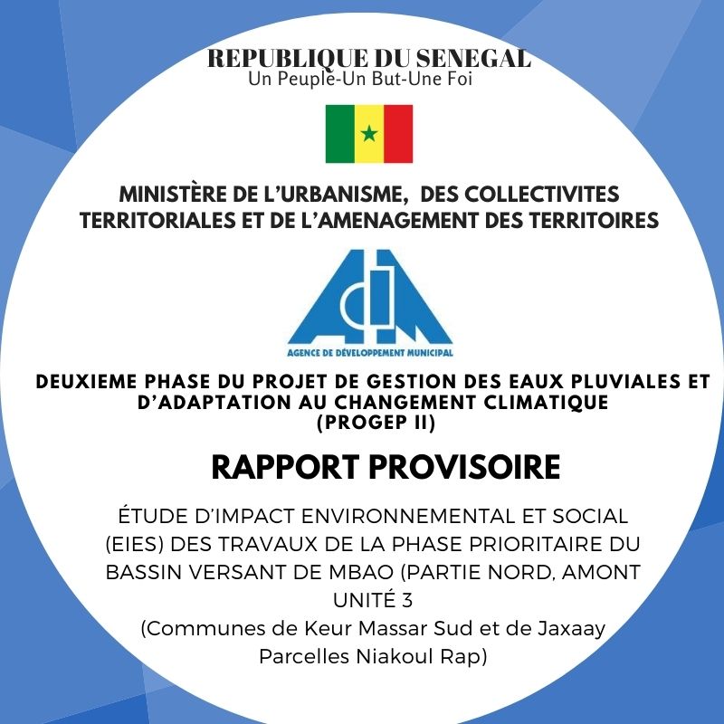 RAPPORT PROVISOIRE EIES 